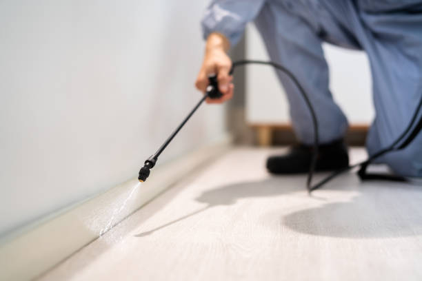 Licensed Pest Control service in Harbor, OR - Show Me Pest Control